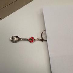 Keys, as reported by ilévia using iLost