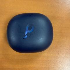 Muis & Oordop, zoals gemeld door ibis Schiphol Amsterdam Airport met iLost