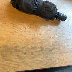 Umbrella Zwart, as reported by Stad Hasselt using iLost