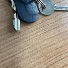 Sleutel، كما تم الإبلاغ عنه بواسطة Connexxion Amstelland-Meerlanden Schiphol Noord عبر iLost