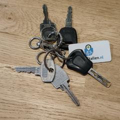 Sleutelbos, som rapporterats till iLost