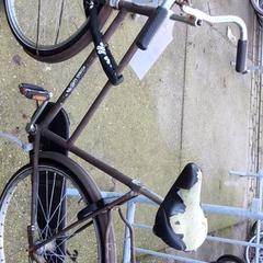 Damcykel Holland sport, rapporterat av Stadswerk072 med iLost