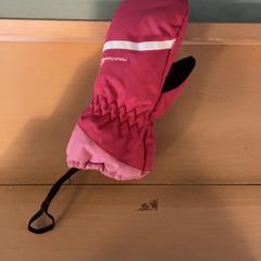 Handskar handschien, rapporterat av Familie Resort Molenwaard med iLost