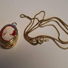 Colgante Goudkleurig, met horloge binnenin, ha sido reportado por TheaterHangaar con iLost
