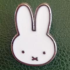 Pin/broche، كما تم الإبلاغ عنه عبر iLost
