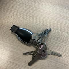 Chaveiro, segundo informou Gemeente Arnhem usando iLost