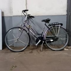 Damcykel Norta Paars-witte letters, rapporterat av Fietsdepot Hasselt med iLost