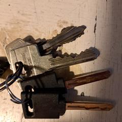 sleutelbos, som rapportert til iLost