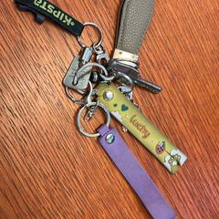 Keychain, as reported by Regio Oost-Vlaanderen using iLost