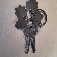 İLost kullanarak Connexxion Haarlem IJmond tarafından bildirildiği gibi Anahtarlar