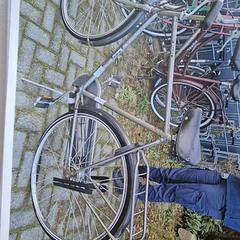 Pánské kolo, jak nahlášeno Gemeente Roermond pomocí iLost