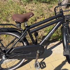 Kinderfiets, segons s'ha informat a iLost