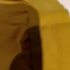 Jacket, as reported by De Efteling using iLost