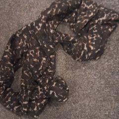 Sjaaltje, zoals gemeld door Internationaal Theater Amsterdam met iLost