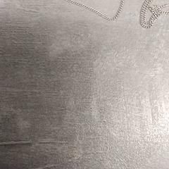 Lepokoa Zilverkleurig kettinkje, gisa salatu by Arriva Friesland / Groningen iLost erabiliz