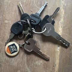 Sleutelbos, jak bylo nahlášeno na iLost