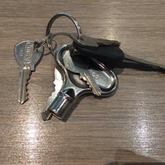 Nøkkel Sleutelbos, som rapportert av Van der Valk Hotel Vianen ved bruk av iLost