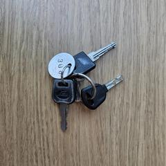 Sleutelbos, come riportato a iLost