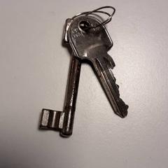 Key, as reported by Diergaarde Blijdorp using iLost