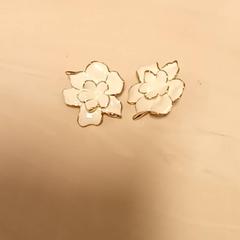 Örhängen, rapporterat av Mövenpick Hotel Amsterdam City Centre med iLost