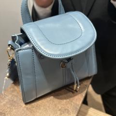 Blue purse, as reported to iLost