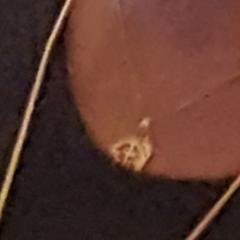 Gouden ketting met geloof hoop en liefde en een g