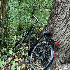 Zwarte damesfiets an iLost gemeldet