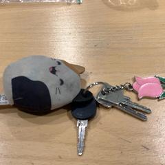 Chiave, come riportato da Gemeente Gooise Meren utilizzando iLost