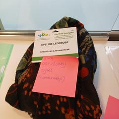 Xal Zwart, segundo informou Cursus en vergadercentrum Domstad usando iLost