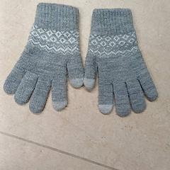 Handschoenen Grijs, zoals gemeld door Qbuzz GD Groningen Peizerweg met iLost