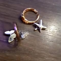 الخاتم، كما تم الإبلاغ عنه بواسطة Leonardo Royal Hotel Amsterdam عبر iLost