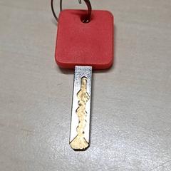 Kľúč, ako bolo nahlásené Arriva Oost-Brabant pomocou iLost