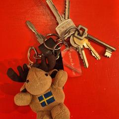 Sleutelbos, som rapporterats till iLost