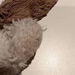 Knuffel がiLostで De Efteling によって報告されました