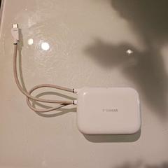 어댑터, iLost를 사용하여 Room Mate Bruno에 보고됨