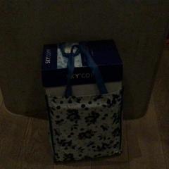 Taška, ako bolo nahlásené Van der Valk Hotel Amsterdam Zuidas pomocou iLost