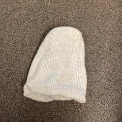 Beanie Grijs, ako bolo nahlásené Burgers' Zoo pomocou iLost