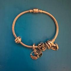 Bracelet, iLost에 보고됨