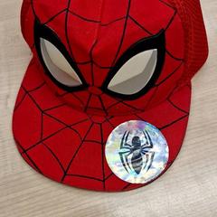 Pet Spiderman, zoals gemeld door IKEA Amersfoort met iLost