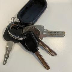 Gakoa, gisa salatu by Gemeente Meierijstad iLost erabiliz