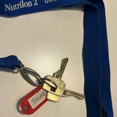 Keys, as reported by Gemeente Meierijstad using iLost