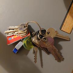 Sleutelbos, segons s'ha informat a iLost