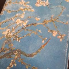 E-olvasó Van Gogh hoesje, amint azt Rotterdam The Hague Airport az iLost segítségével jelentette.