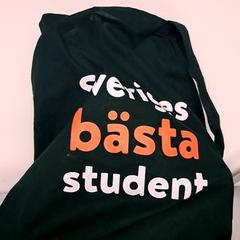 Bärkasse & Väska, rapporterat av Keolis Lund med iLost