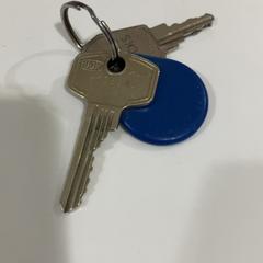 Gakoa, gisa salatu by TU/e - Receptie Atlas iLost erabiliz