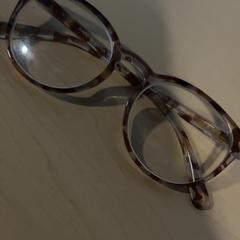 Glasses Panter, as reported by Jaarbeurs using iLost