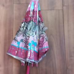 Deštník Kind, jak nahlášeno Arriva Limburg Zuid pomocí iLost