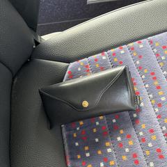 Glasses case with glasses, as reported to iLost