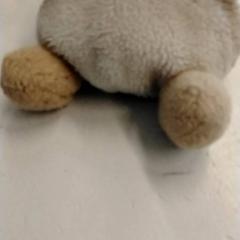 Xoguete de peluche, segundo informou GVB usando iLost