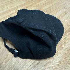 Pet Zwart, zoals gemeld door Arriva Friesland / Groningen met iLost